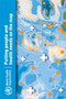 Putting People and Health Needs on the Map by Who - Paperback