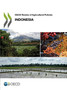 OECD review of agricultural policies : Indonesia 2012 by Organisation for Economic Co-operation and Development - Paperback