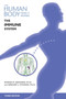 The Immune System by Donna Bozzone - Hardback