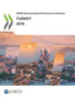 Turkey 2019 by Organisation for Economic Co-operation and Development - Paperback