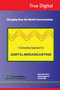 A Disruptive Approach to Digital Broadcasting by Rama Rao Veluri - Paperback