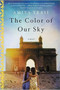 The Color of Our Sky : A Novel by Amita Trasi - Paperback