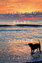 Throwing Bears for George : A Novel by J.F. Riordan - Hardback