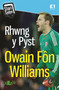Stori Sydyn: Rhwng y Pyst - Hunangofiant Owain Fon Williams by Owain Fon Williams - Paperback