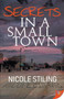 Secrets in a Small Town by Nicole Stiling - Paperback