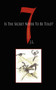 7 Is The Secret Never To Be Told? by J.L. - Paperback