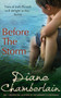 Before The Storm by Diane Chamberlain - Paperback