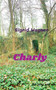 Charly : Igel unter der Haut by Sigrid Wagner - Paperback