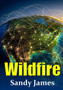 Wildfire by Sandy James - Paperback