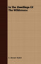 In The Dwellings Of The Wilderness by C.Bryson Taylor - Paperback