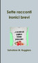 Sette Racconti Ironici Brevi by Salvatore M. Ruggiero - Paperback