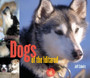 Dogs of the Iditarod by Jeff Schultz - Paperback