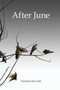 After June by Thomasin Heyworth - Paperback
