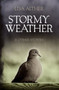 Stormy Weather & Other Stories by Lisa Alther - Hardback