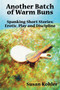 Another Batch of Warm Buns : Spanking Short Stories: Erotic, Play and Discipline by Susan Kohler - Paperback