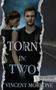 Torn in Two : 2 by Vincent Morrone - Paperback