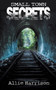 Small Town Secrets : 1 by Allie Harrison - Paperback