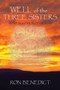 Well of the Three Sisters : A Presumption of Death by Ron Benedict - Paperback