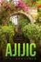 Ajijic by J.P Newcomer - Paperback