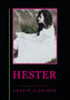 Hester by Cherie Aldridge - Hardback