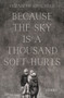 Because the Sky is a Thousand Soft Hurts by Elizabeth Kirschner - Paperback