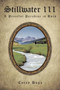 Stillwater III : A Peaceful Paradise is Born by Corey Haga - Paperback
