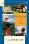 Encounters : Stories by Elizabeth Bowen - Paperback