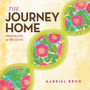 The Journey Home : Portraits of Healing by Gabriel Bron - Paperback