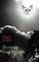 Between Two Worlds by Mairi Craw - Hardback