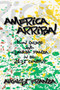 America Arriba! : Don Quijote and Sancho Panza in the 21st Century by August Franza - Paperback