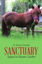 Sanctuary : Sequel to Dream Catcher by D Jeremy Doraido - Paperback