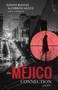 The Mejico Connection by Judith Blevins - Paperback