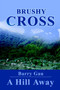 Brushy Cross : A Hill Away by Barry Gau - Paperback