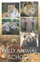 Wild Animal School by Jenny Lynne - Paperback