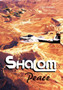 Shalom : Peace by Clint Granger - Hardback