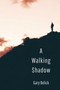 A Walking Shadow by Gary Bolick - Paperback