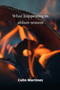 what happening in ablaze season by Colin Martinez - Paperback