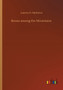 Bessie among the Mountains by Joanna H Mathews - Paperback