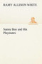Sunny Boy and His Playmates by Ramy Allison White - Paperback