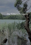 Die Totturocks- Jagerin by Christine Stutz - Paperback