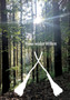 Hexe wider Willen by Christine Stutz - Paperback