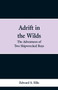 Adrift in the Wilds : The Adventures of Two Shipwrecked Boys by Edward S Ellis - Paperback