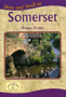 Drive and Stroll in Somerset by Roger Evans - Paperback