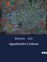 Aguafuertes Cariocas by Roberto Arlt - Paperback