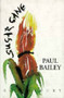 Sugar Cane by Paul Bailey - Hardback