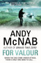 For Valour : 16 by Andy McNab - Hardback