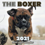 The Boxer 2021 Mini Wall Calendar by Over the Wall Dogs - Paperback
