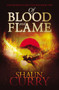 Of Blood and Flame : The Swords of Fire Trilogy : 2 by Shaun Curry - Paperback