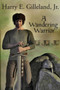 A Wandering Warrior by Jr Harry E Gilleland - Paperback