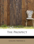 The Prospect by Collins Nathan G - Paperback